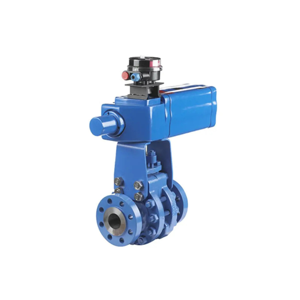 Neles Trunnion Ball Valve Series D