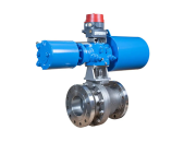 Neles Trunnion Ball Valve Series D 1 1