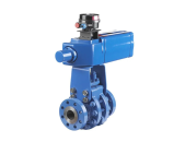 Neles Trunnion Ball Valve Series D