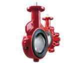 bray series 20/21 process butterfly valve