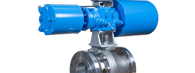 Neles Trunnion Ball Valve Series D 1 2