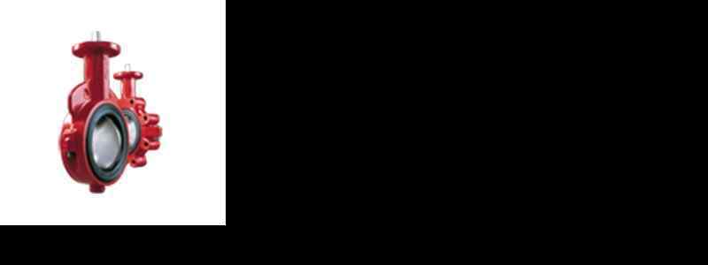 p1c32tl1tl1rra1c9k16mbdr917487.jpg