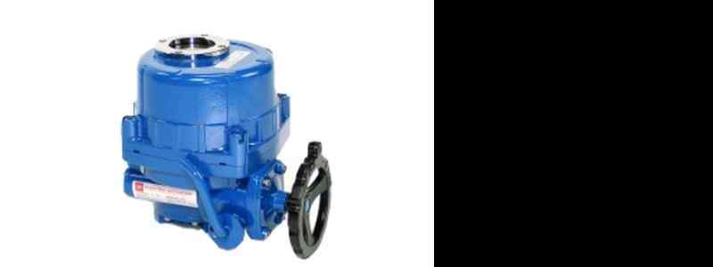 hq quarter turn actuator.jpg