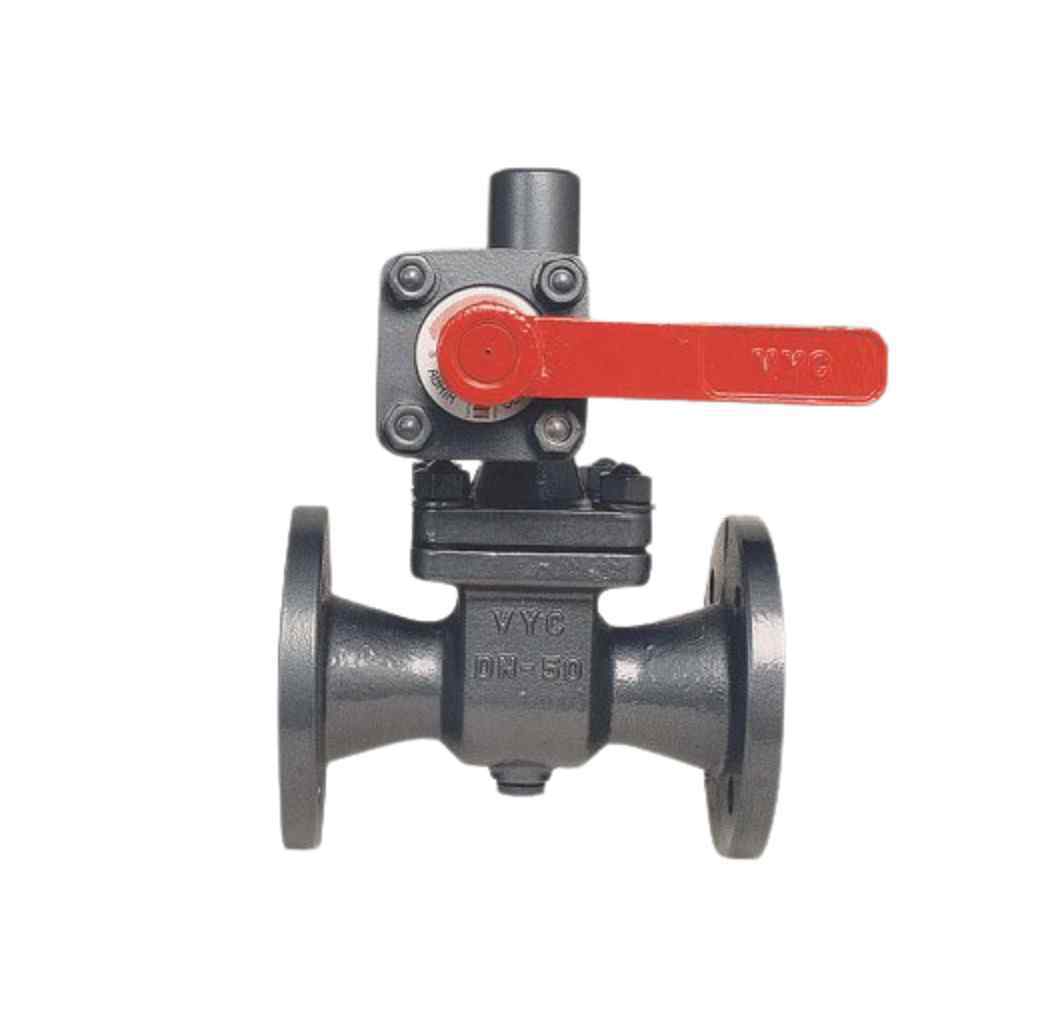 Blowdown valve